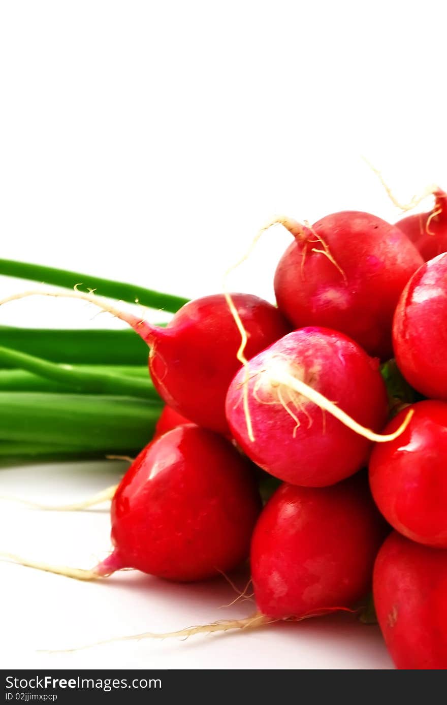 Radish and onion on the white background