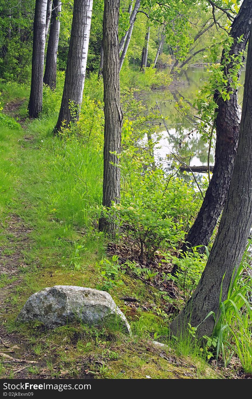 Rice Lake in the Whitewater Segment of the Ice Age Trail in Wisconsin