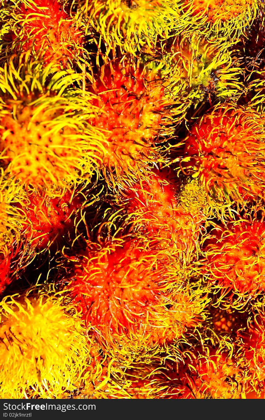 Detail of rambutan ready for your eat.