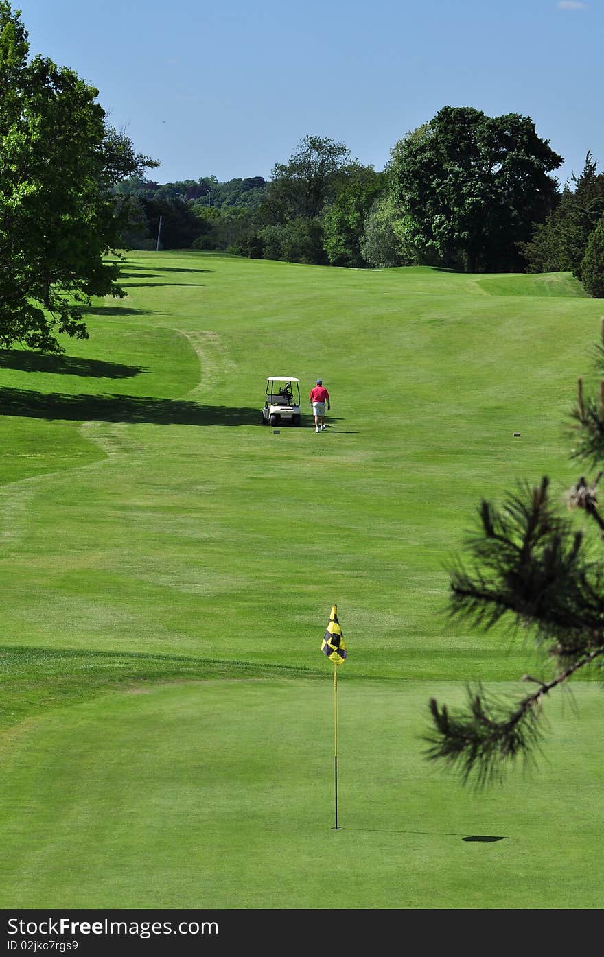 Contoured Fairway