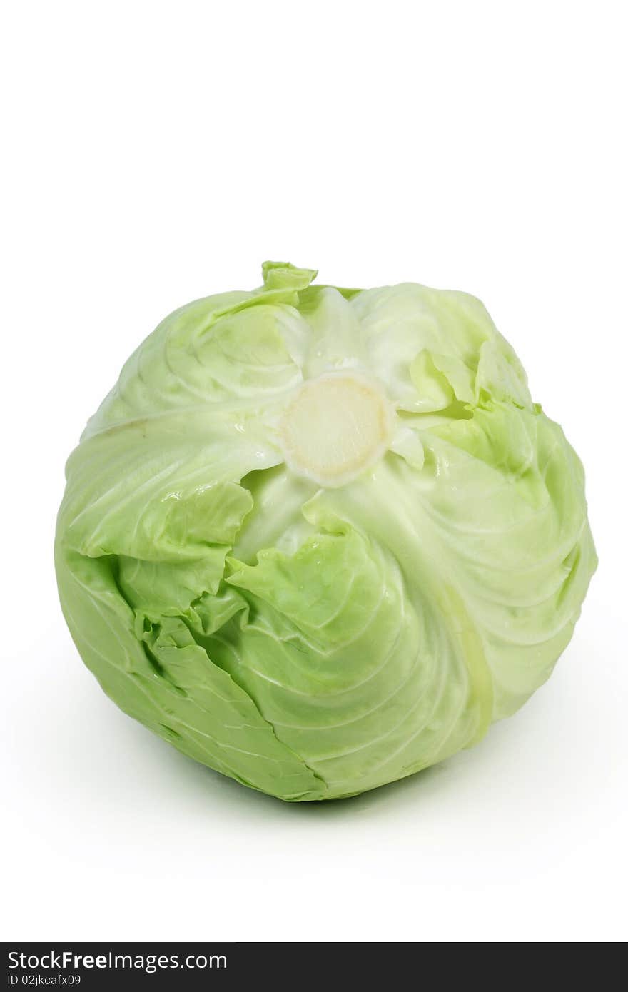 Cabbage