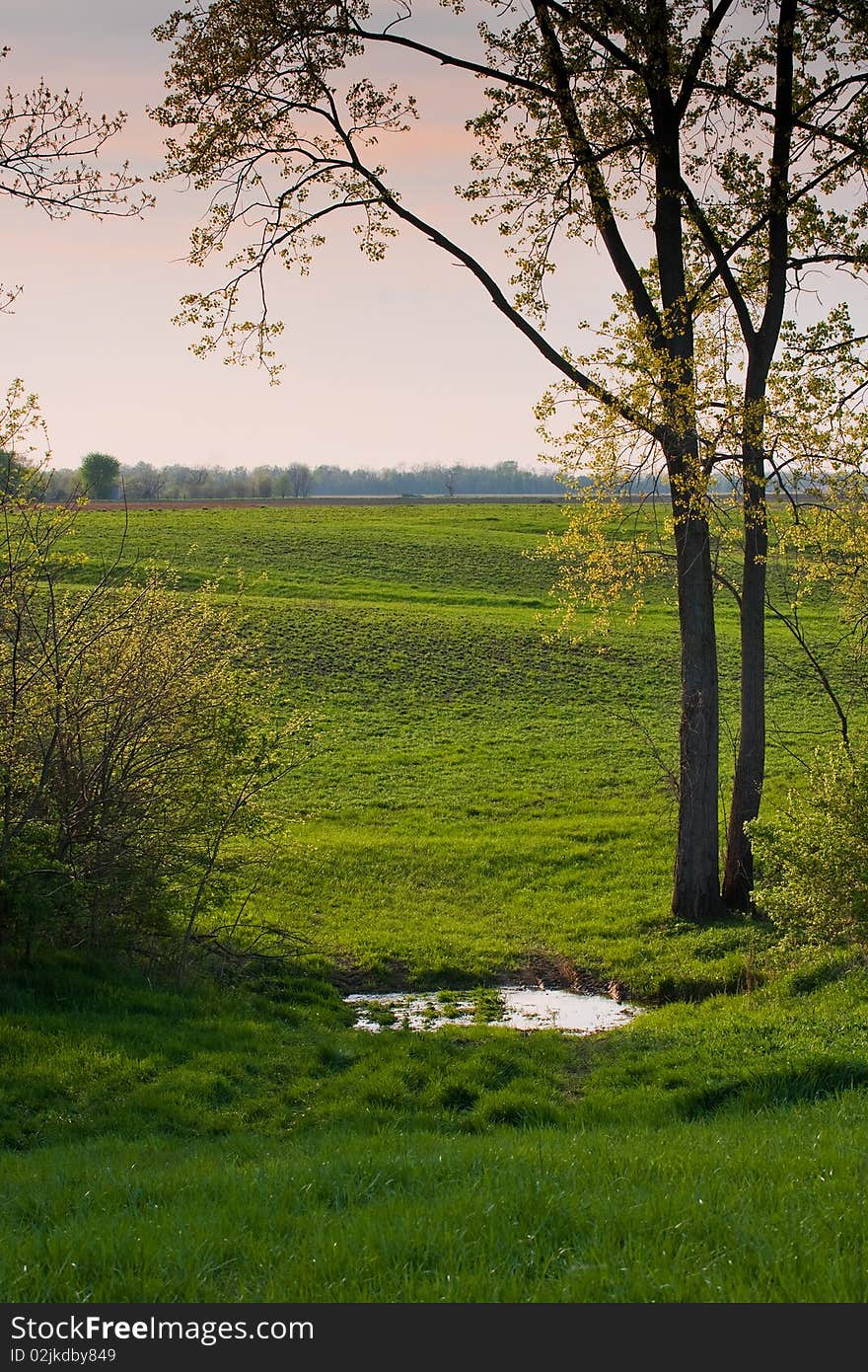 Spring Growth