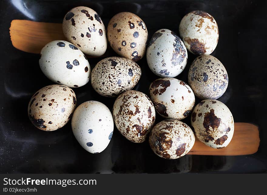 Quail eggs close-up