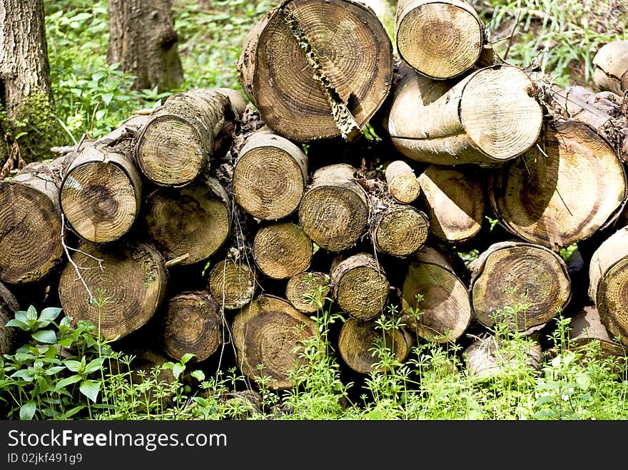 Logs