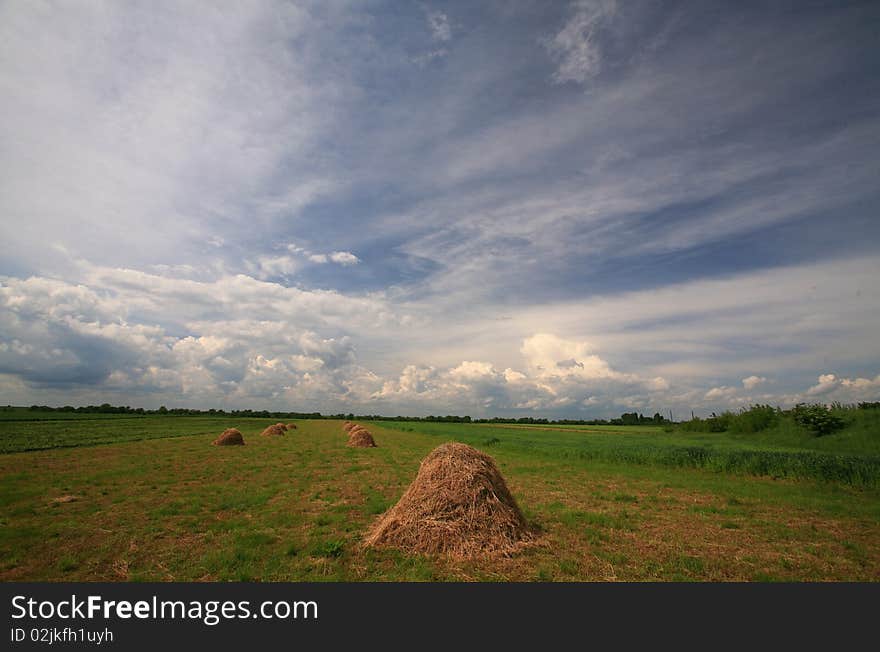 Rural Scenery In Spring