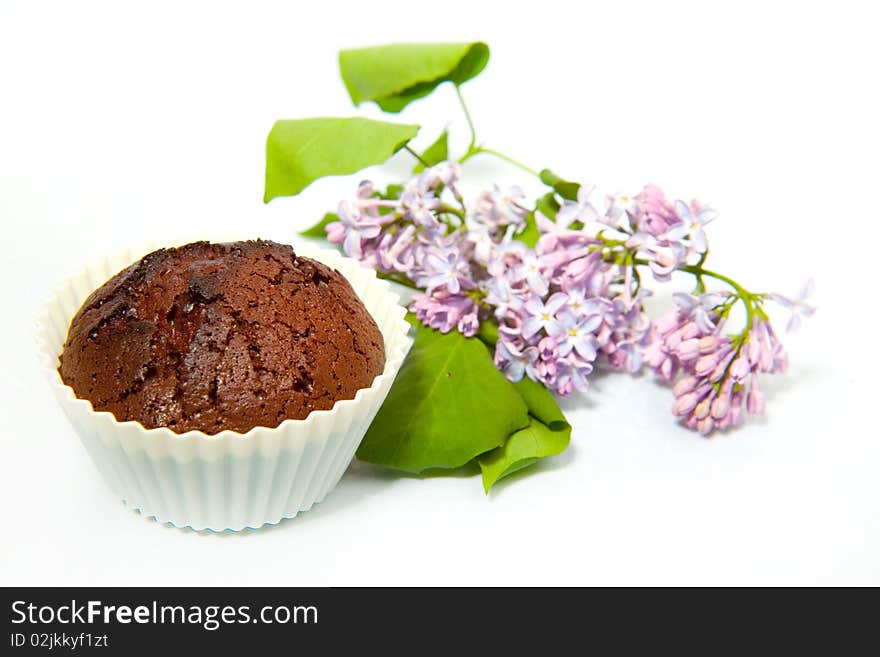 Fresh Chocolate Muffin with lilac over white background