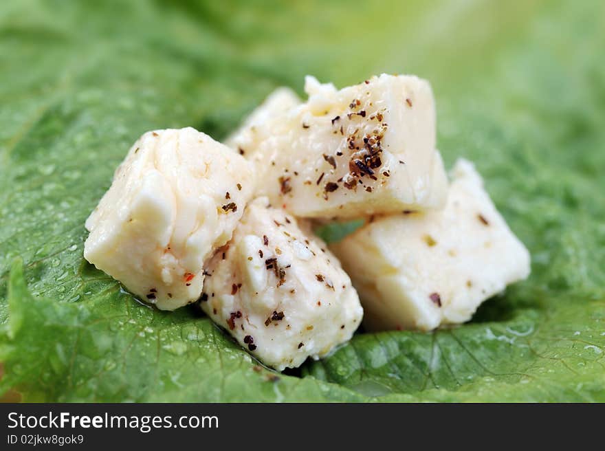 White cheese on green leaf. White cheese on green leaf