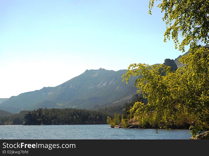 Nature landscape with hills and forest