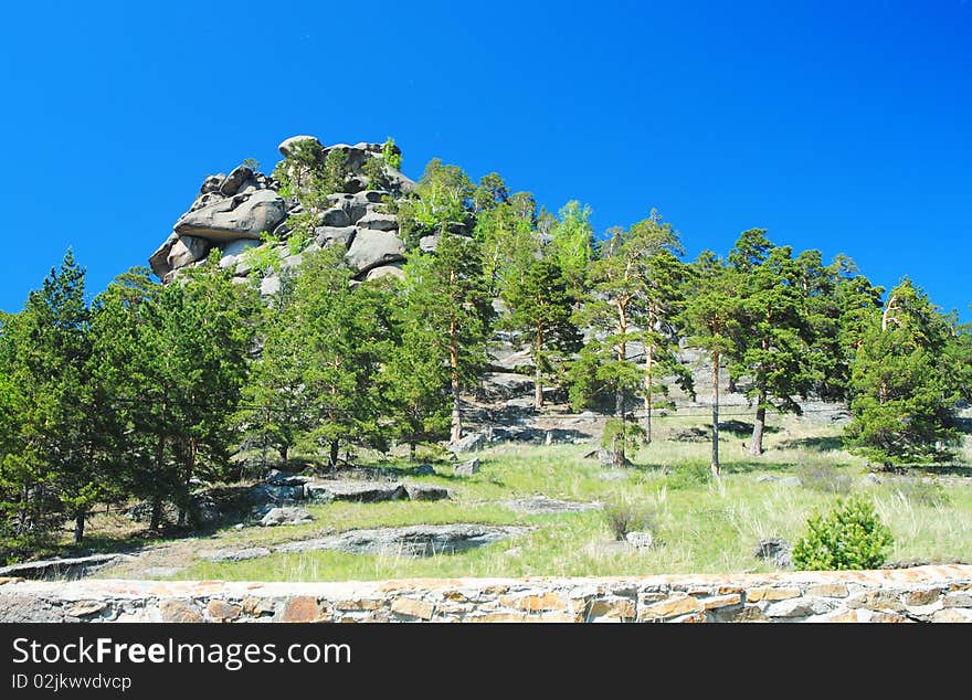 Landscape with pines fnd hills over blue sky background