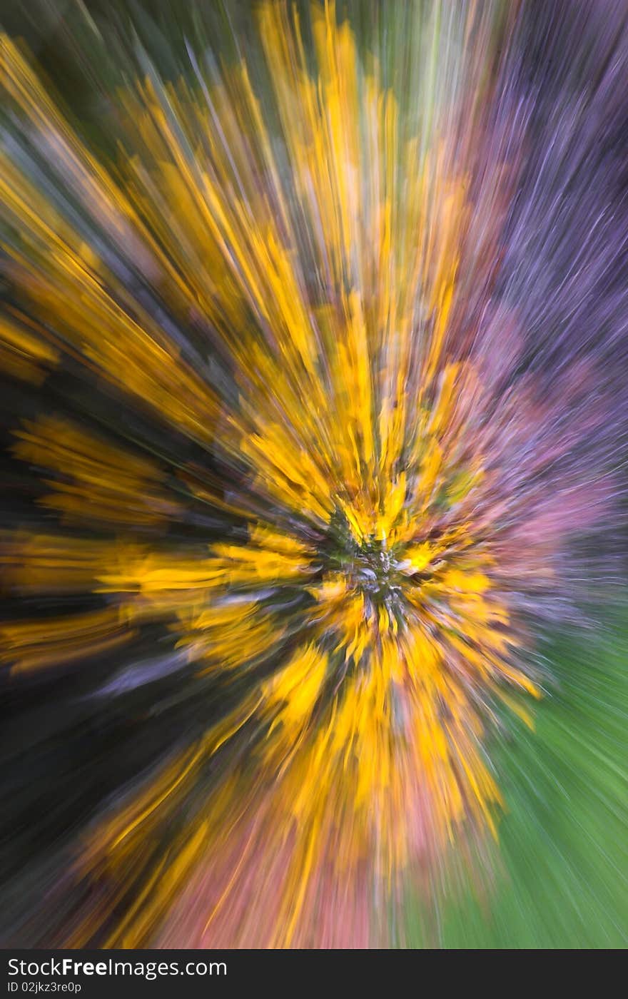 Wonderful colorful radial abstract shot. Wonderful colorful radial abstract shot