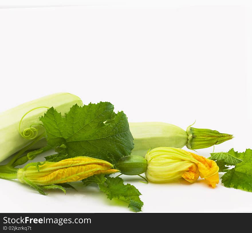 Fresh vegetable marrow isolated on white background. Fresh vegetable marrow isolated on white background