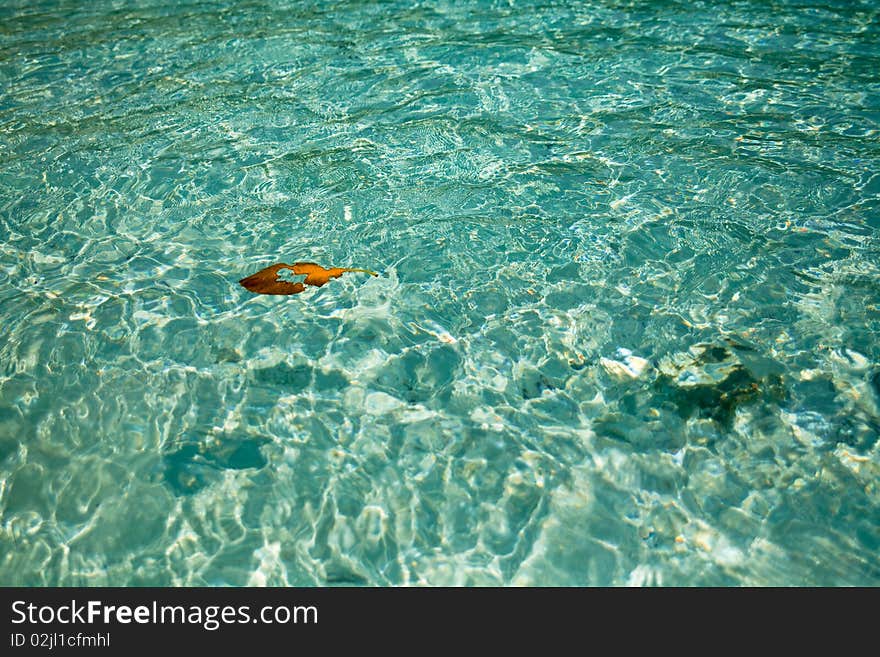 The holy pure water of Similan island. The holy pure water of Similan island