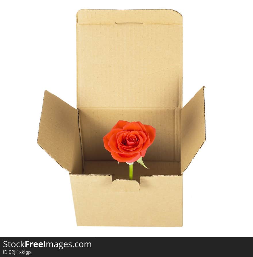 Opened empty paper packing, box isolated on white background. Opened empty paper packing, box isolated on white background