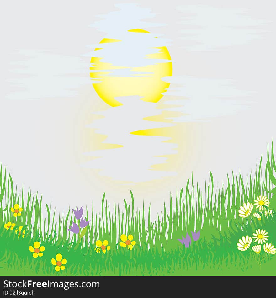 Landscape with grass, flowers, sun