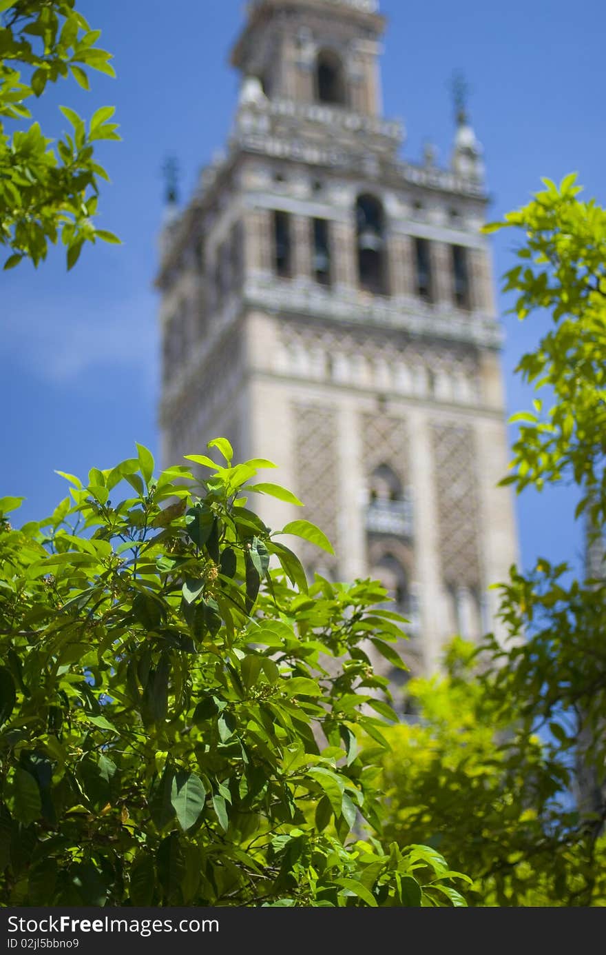 The tower of the Giralda, at the center of Seville