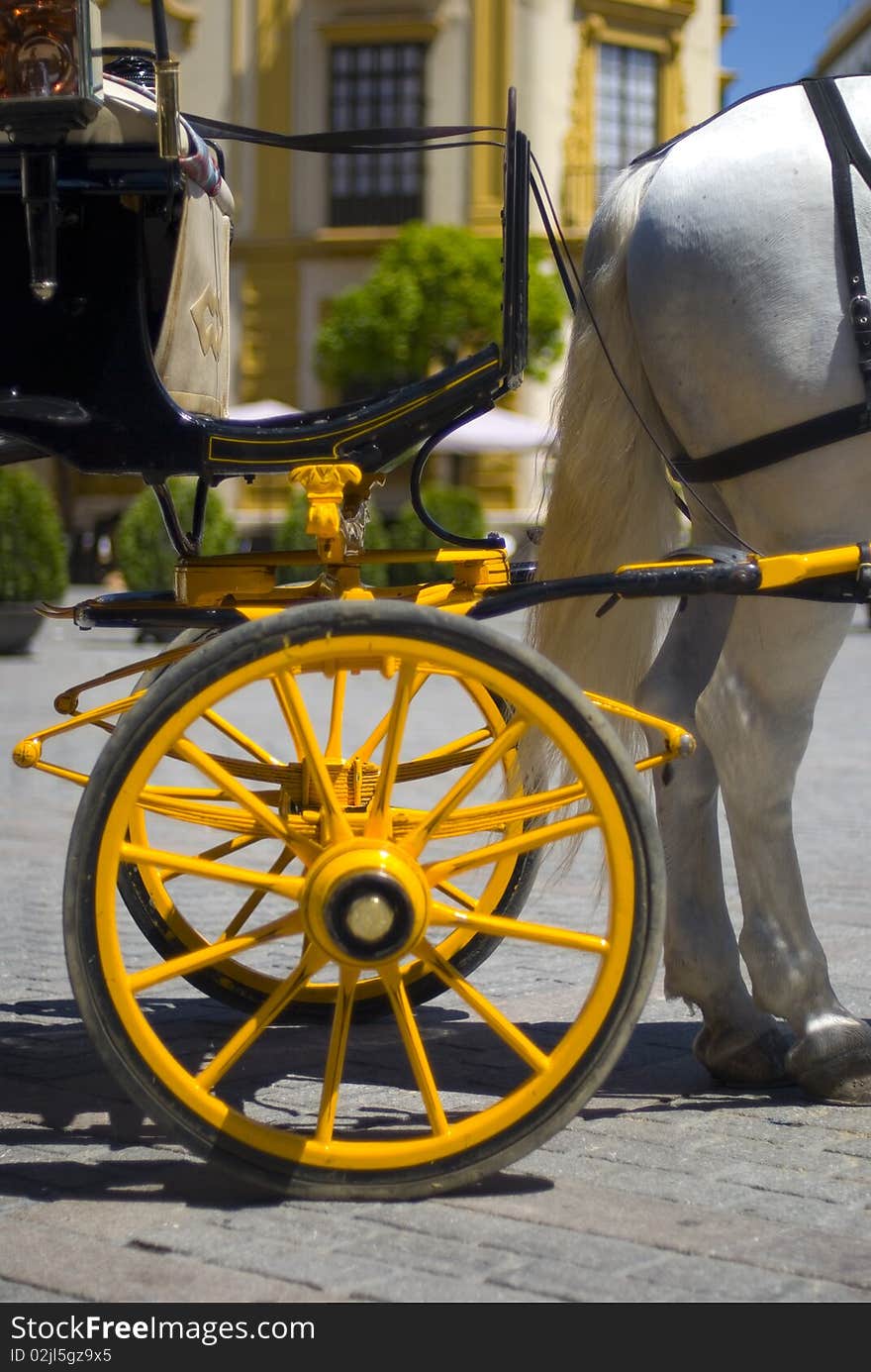 Horses are used for the tourist