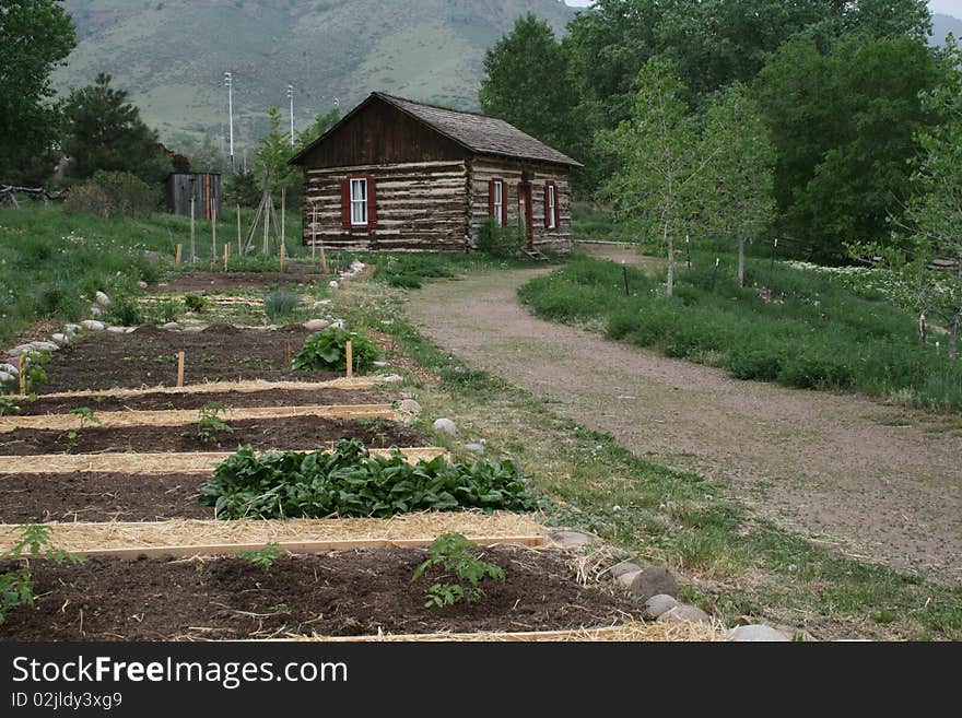 Colorado Pioneer Cabin