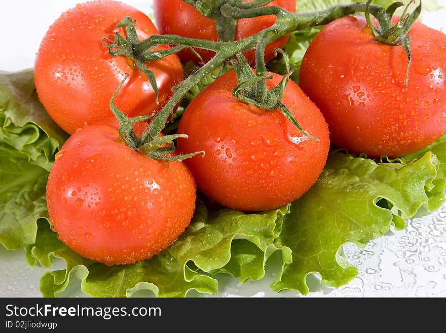 Tomato and salad leaves