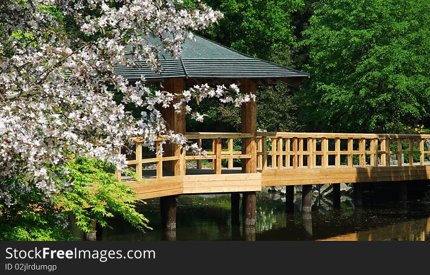 Japanese garden