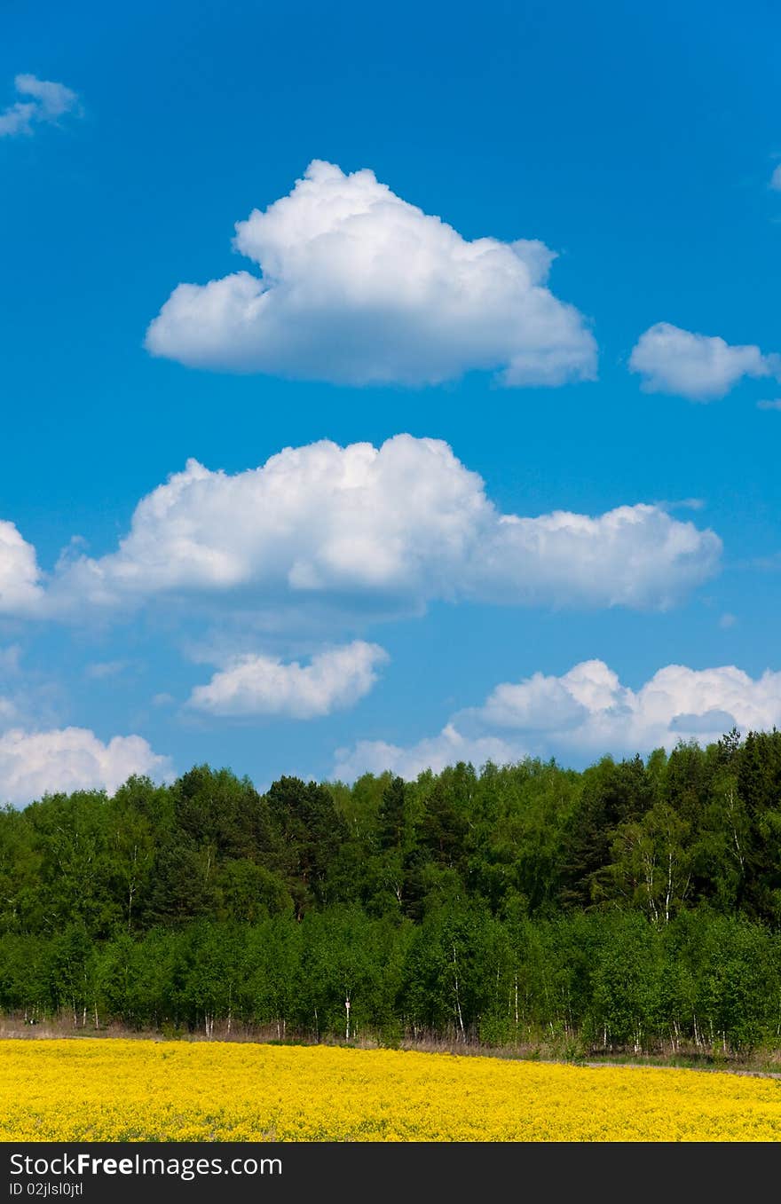 Spring Landscape