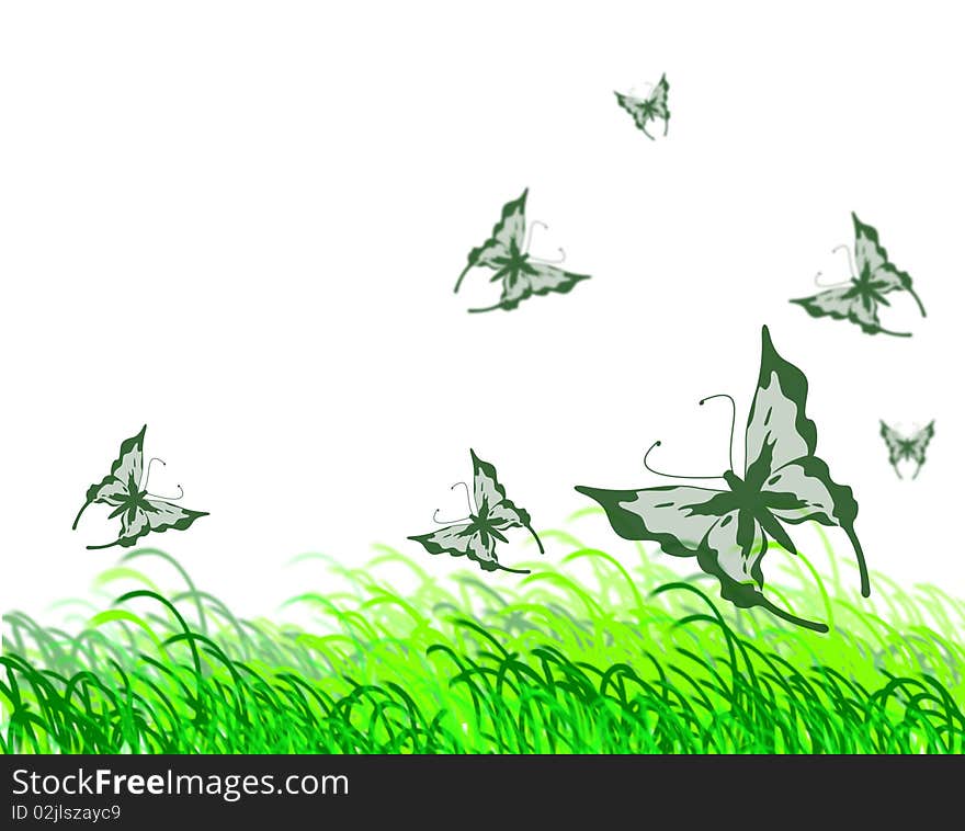 Butterflies and grass on a white background. Illustration