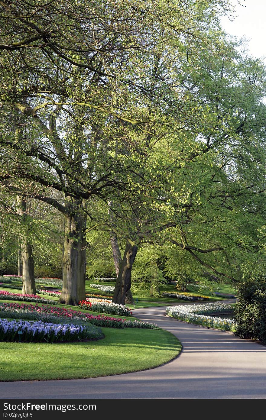 Flower Path