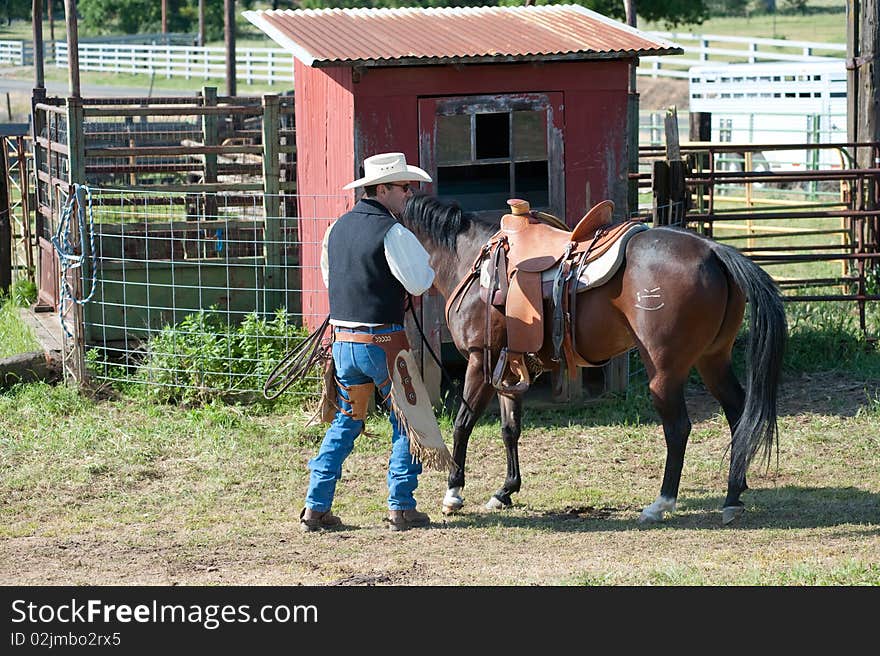 Cowboy riding a horse