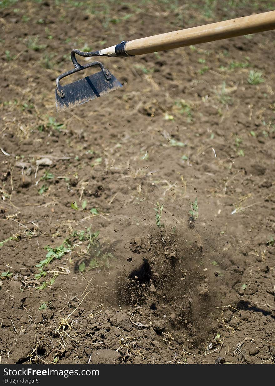 Ploughing In Motion