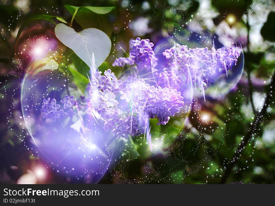 Flowering lilac, magically luminous, fairy-tale