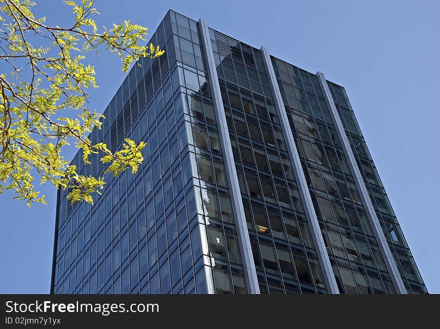 Modern high rise office tower with tree branch in foreground