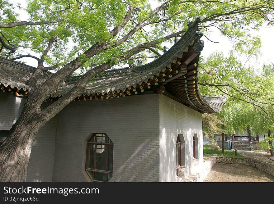 Summer scenery in the Yingze park, Taiyuan, Shanxi province, China. Summer scenery in the Yingze park, Taiyuan, Shanxi province, China.