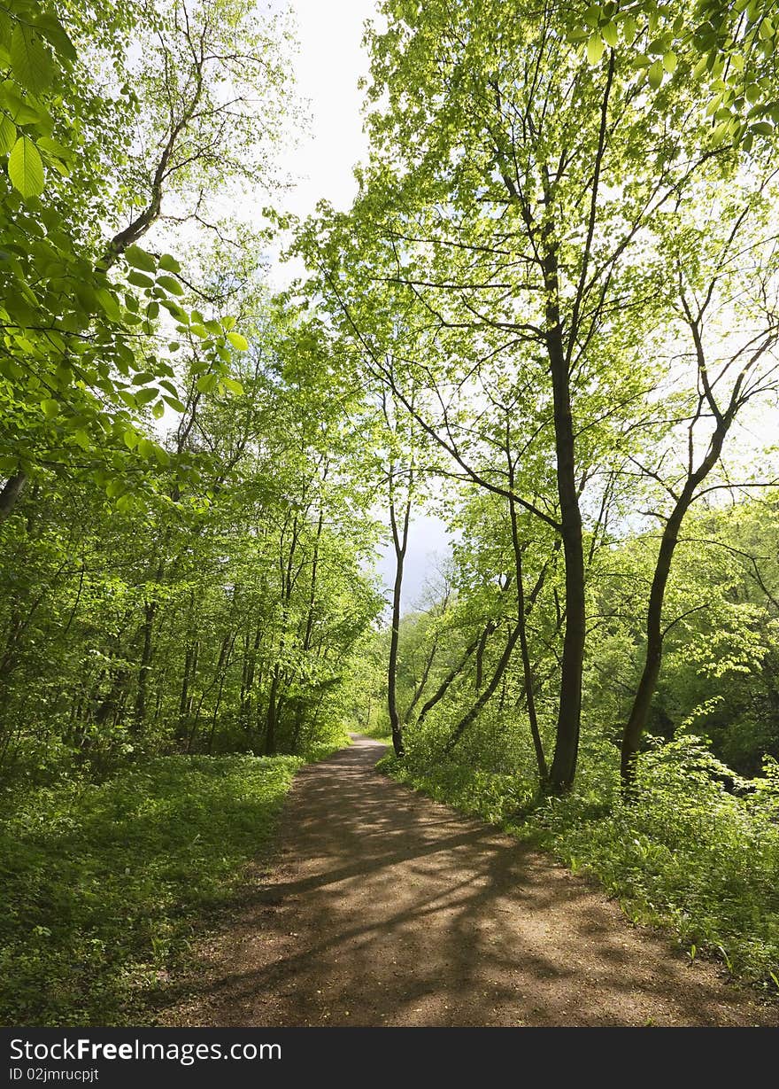 Trail in Spring Park