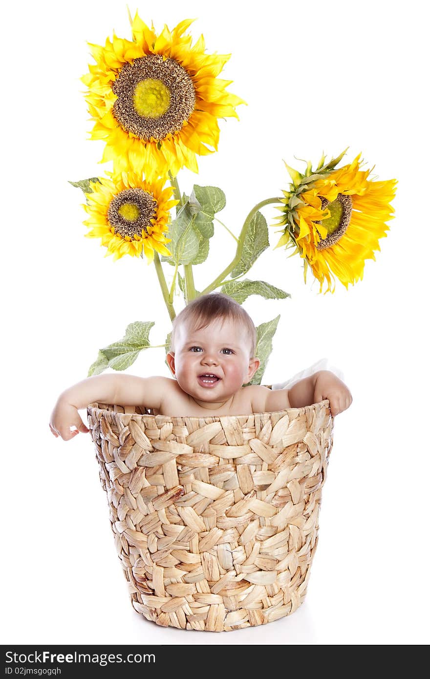 Baby boy in sunflowers