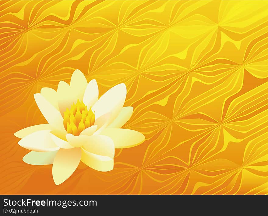 Lonely lily on a yellow twisting background