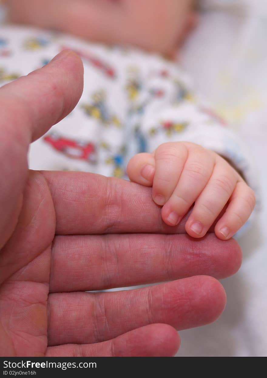 Photo hand of baby in father's  hand. Photo hand of baby in father's  hand