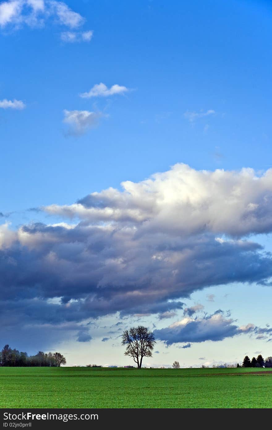 Landscape with acres,trees and dark clouds