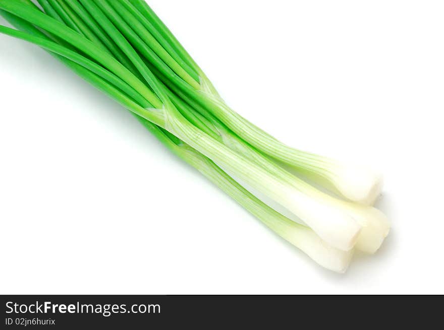 Onion green