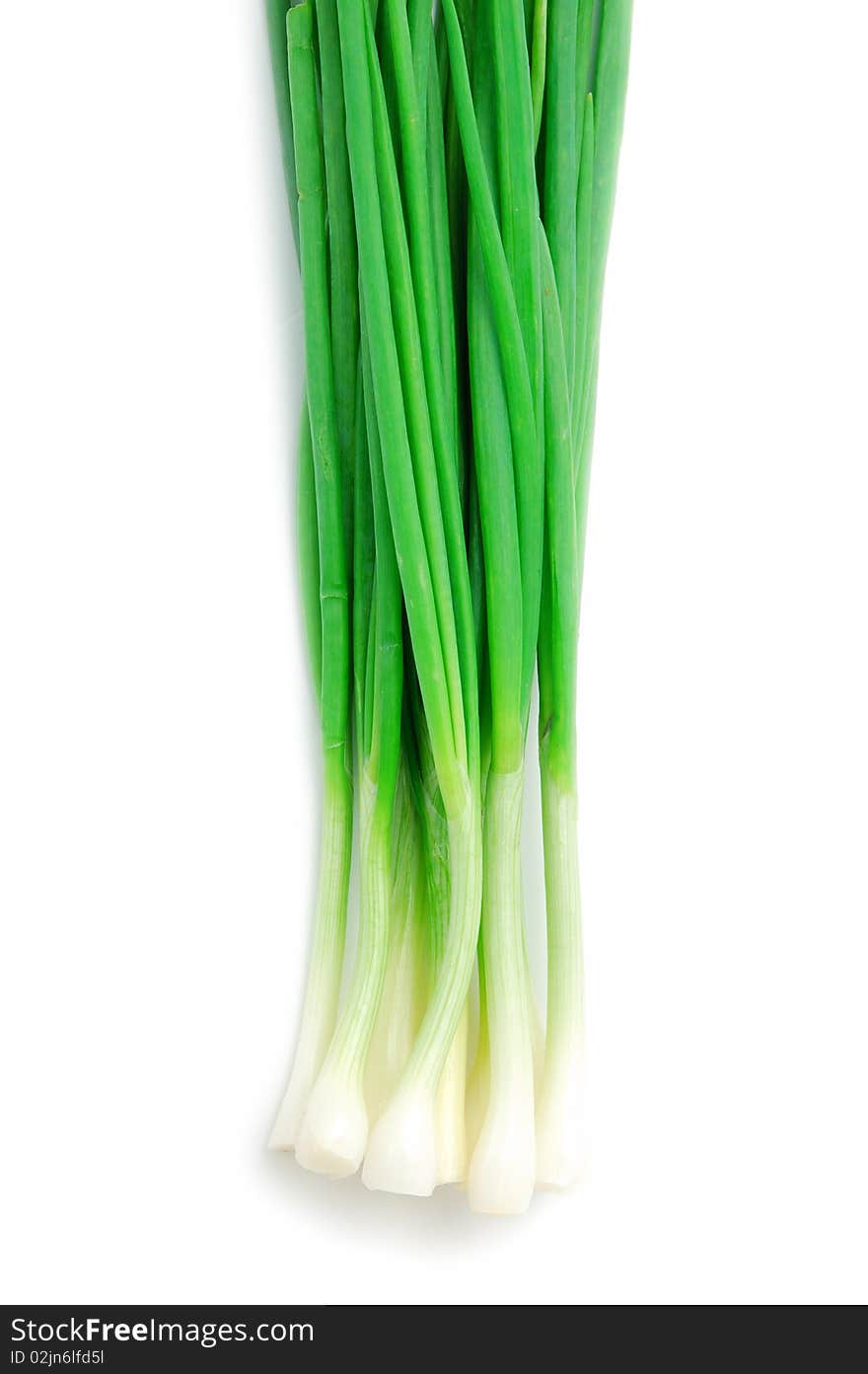 Onion green