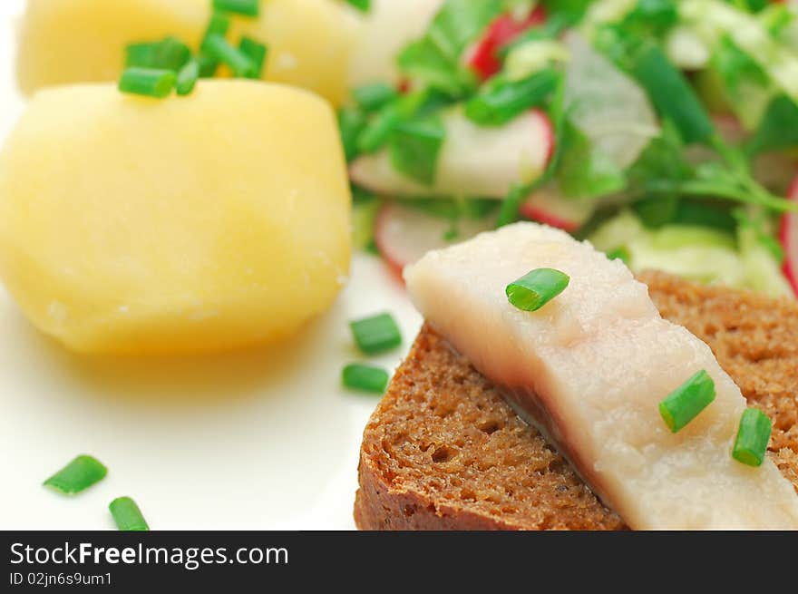 Close-up of herring and onion on bread