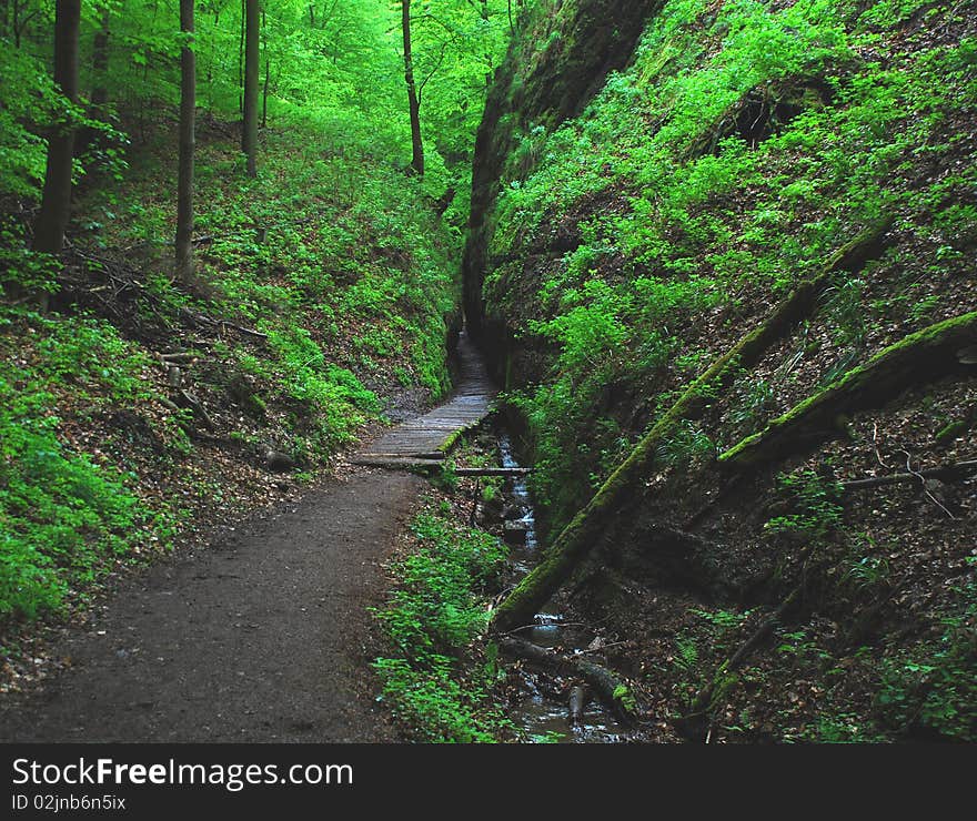 Thuringia: the dragoon trekking path