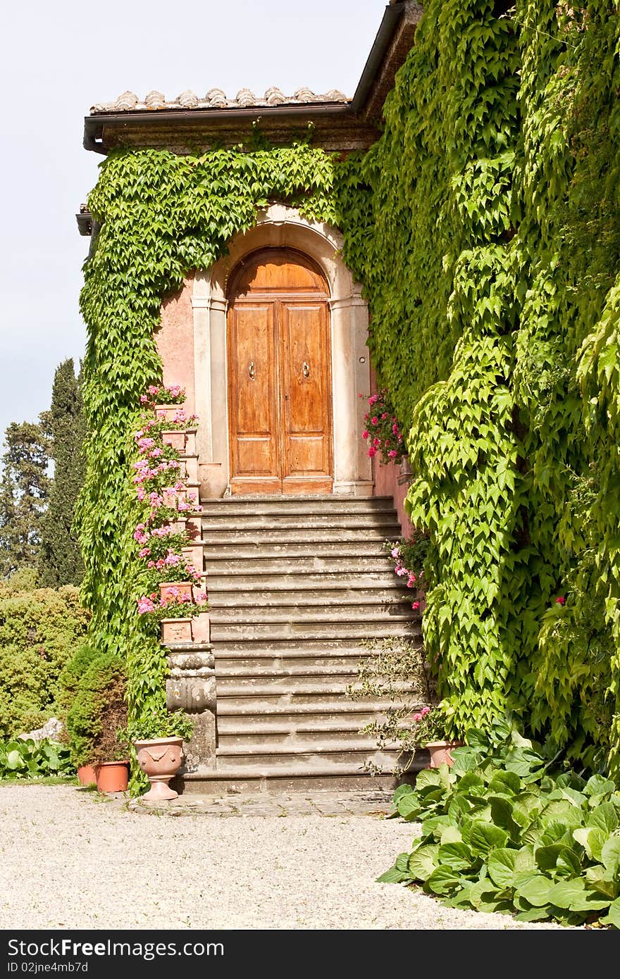 A wooden door and stone steps of a house