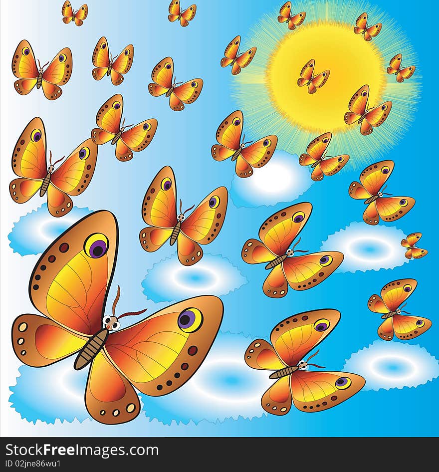 Many butterflies flying to the sun