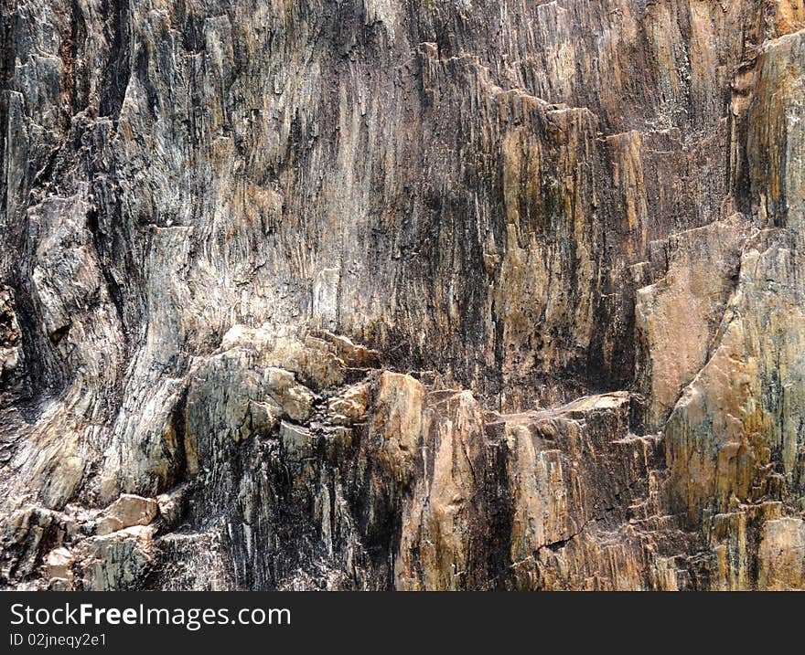 Surface of fossil wood, with featured texture, character and color. Surface of fossil wood, with featured texture, character and color.