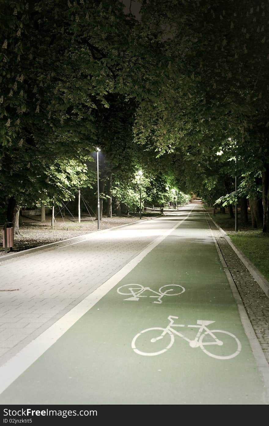 Bicycle path shot in the city park at night. Bicycle path shot in the city park at night