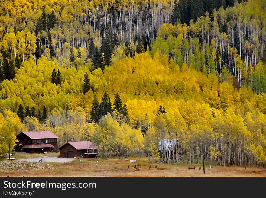 Scenic autumn landscape