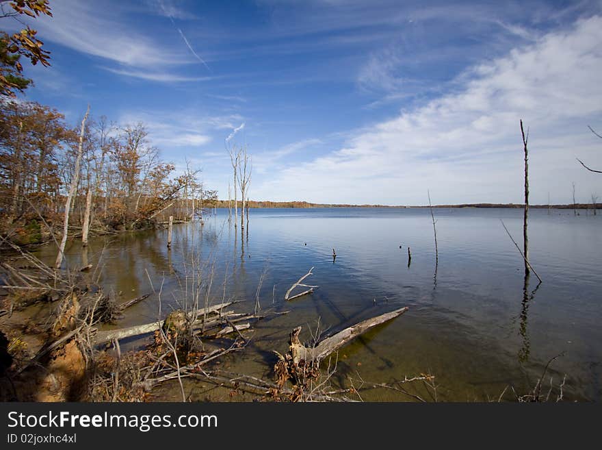 Broken Wood Waterscape