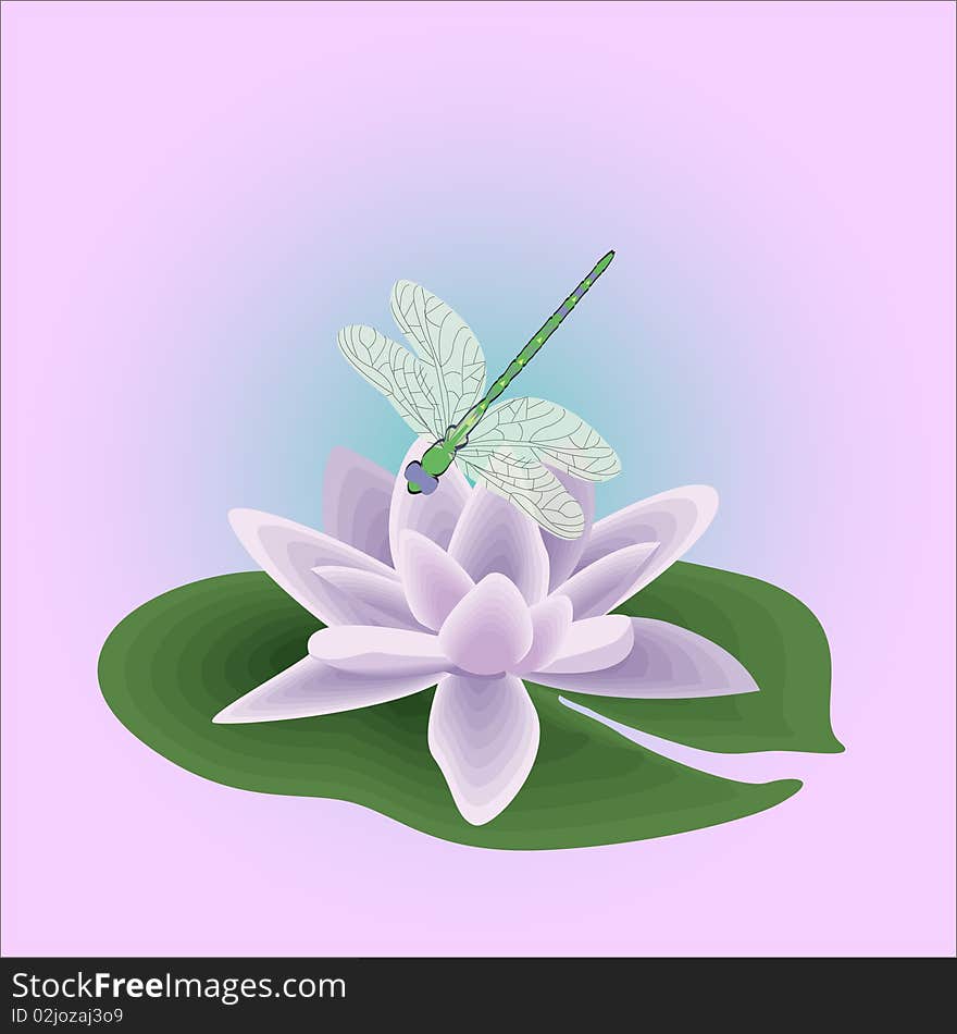 Illustration-dragon-fly on the water-lily