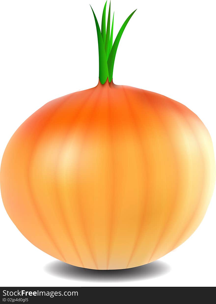 Onion