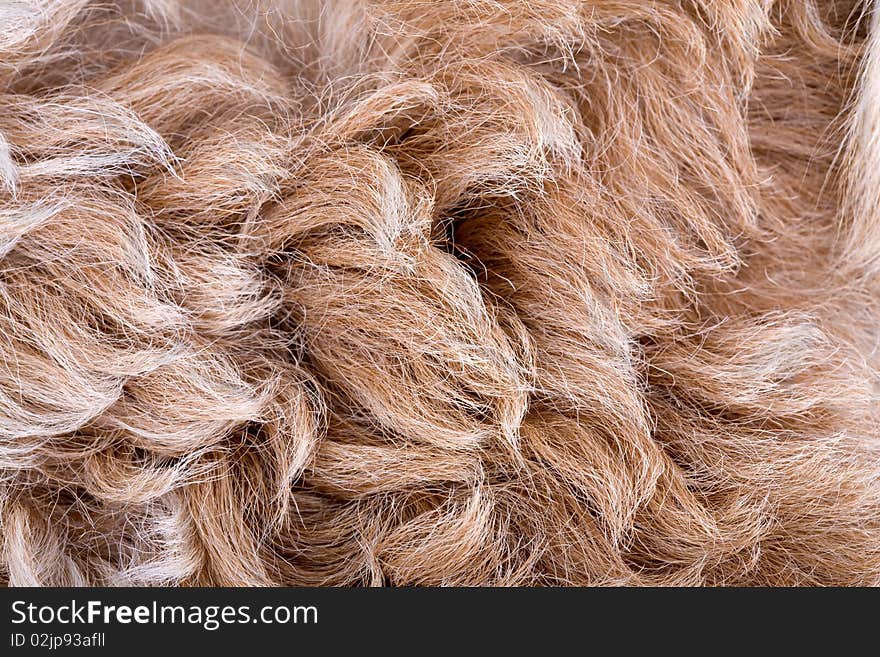 Abstract background of brown sheepskin. Abstract background of brown sheepskin