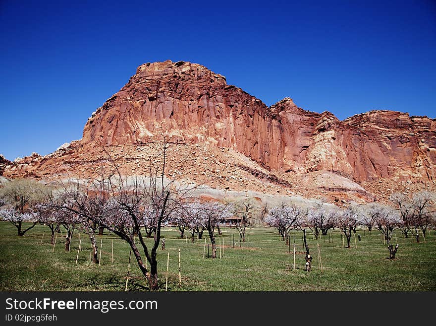 Capitol Reef National Park